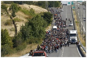 Vilkiko vairuotojas atskleidė, kiek pabėgėliai siūlė už kelionę