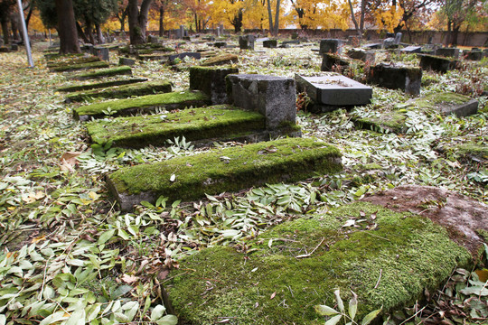 Rudens spalvos apleistose senosiose žydų kapinėse.<br>M.Patašiaus nuotr.