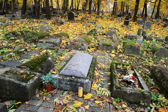 D.Dolskio kapas apleistose žydų kapinėse.<br>M.Patašiaus nuotr.