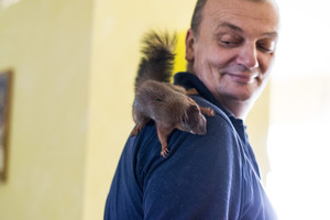 Motinos atstumtas aklas voveriukas išgyveno gerų vilniečių dėka