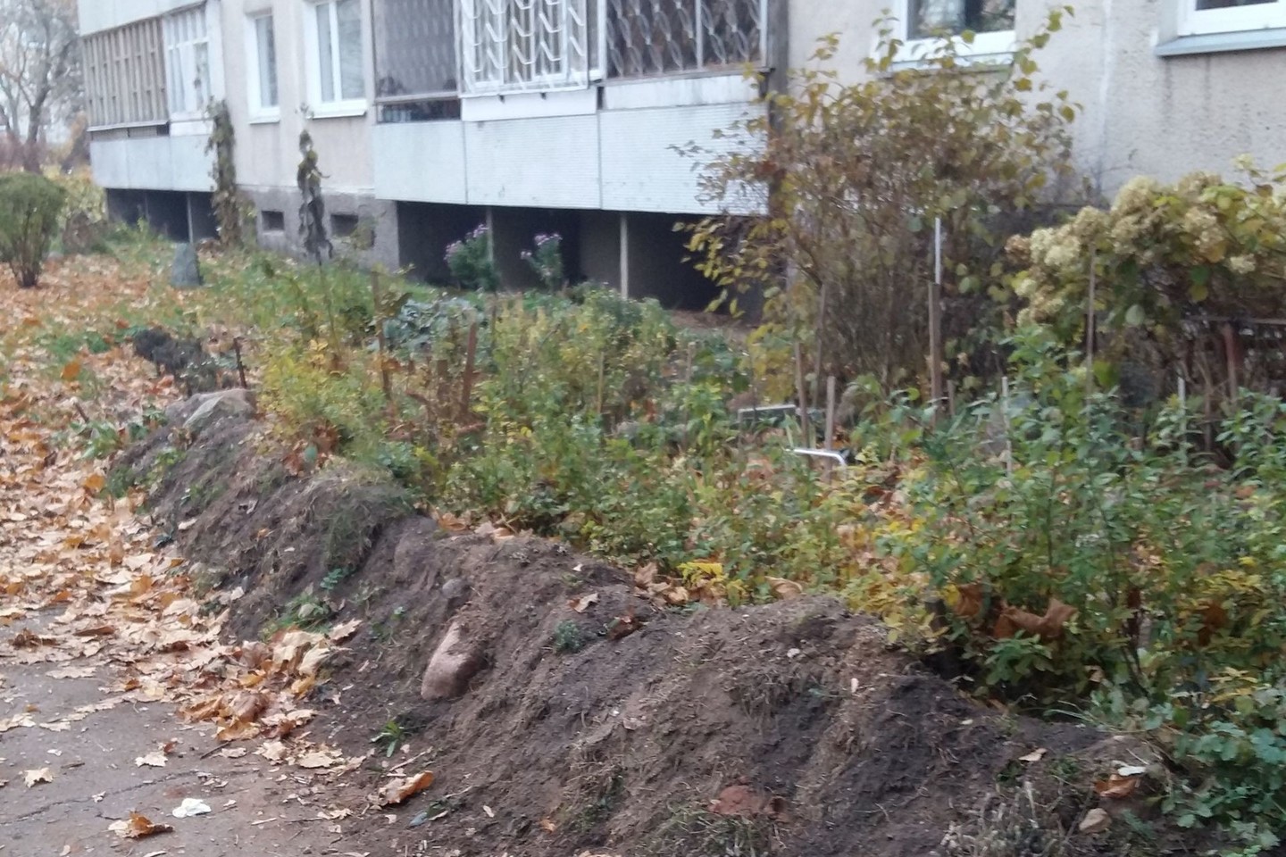 Aplinka atrodo baisiai, keista, kad moteriškė nesupranta, jog net ir kelių metrų aukščio tvora nesulaikys kačių, o ką kalbėti apie šiuos apkasus?