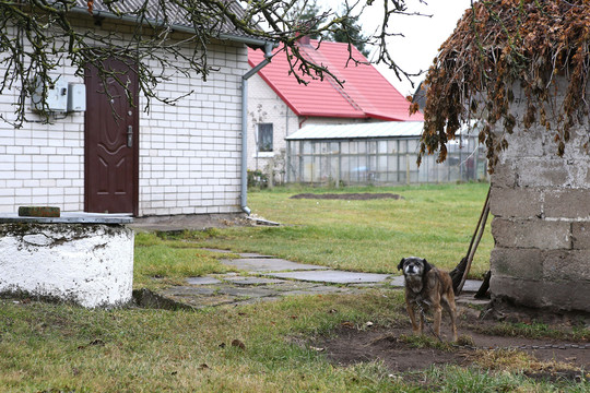 Mane pritrenkė policininko požiūris į nužudytas Kražių moteris