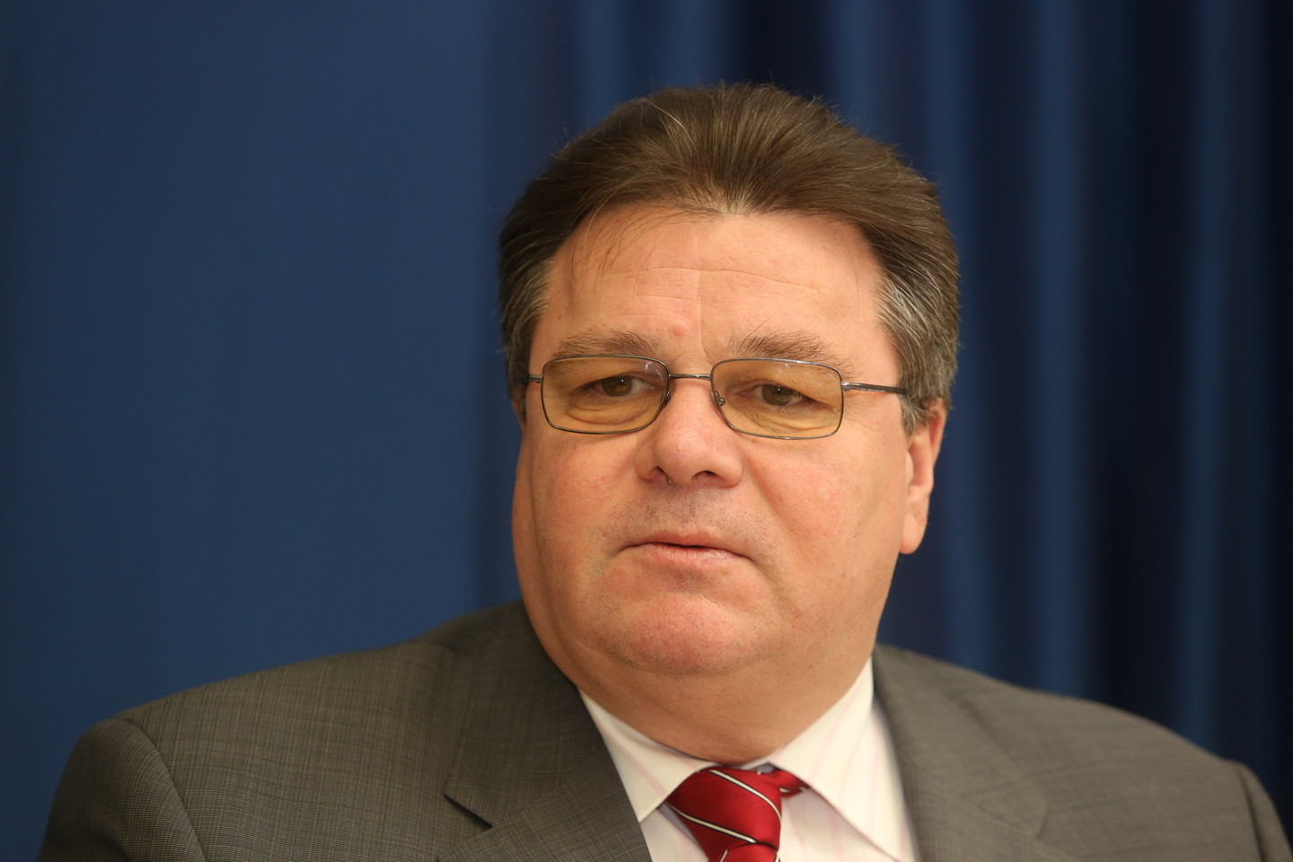 L.Linkevičius per vizitą nori pasikalbėti su vietos politikais.