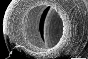 Kasdien matomi daiktai po mikroskopu – lyg iš kito pasaulio