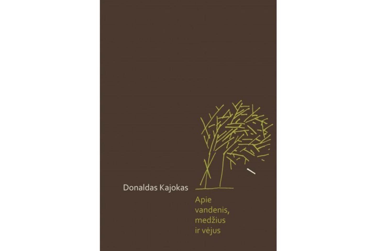 D.Kajokas išleido naują eilėraščių knygą „Apie vandenis, medžius ir vėjus“.<br>R.Danisevičiaus nuotr.
