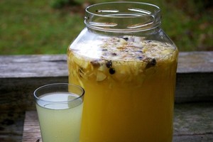 Rauginta imbierų gira: ir virusus atbaido, ir imunitetą stiprina