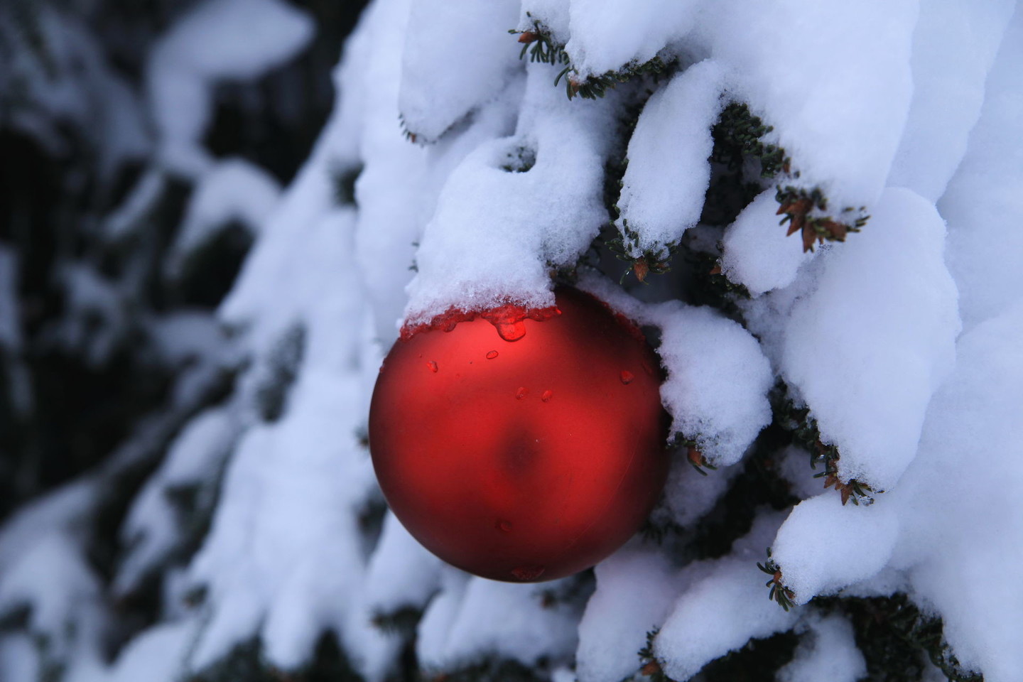 Šiltas oras per Martyno dieną – kai nėra nei sniego, nei ledo – reiškia, kad Kalėdos bus baltos.<br>„123rf.com“ nuotr.