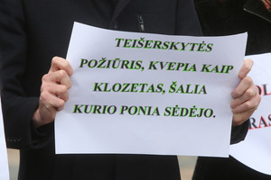 Negrą su klozetu palyginusiai D.Teišerskytei – partijos smūgis