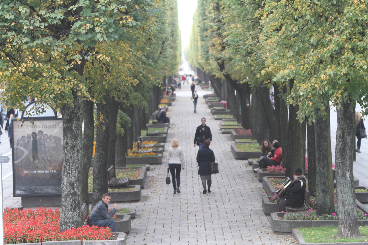 Skubotų sprendimų nedarau, lagaminų dar nekraunu, bet dabar jau tvirtai žinau, kad toliau Kaune gyventi nenoriu.<br>M.Patašiaus nuotr.