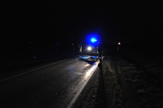 Partrenkta automobilio tamsiame Lazdijų r. kelyje žuvo moteris