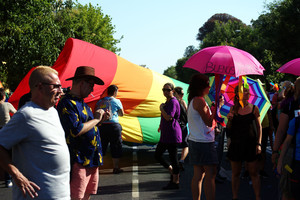 Airijoje įsigaliojo vienalytes santuokas įteisinantis įstatymas