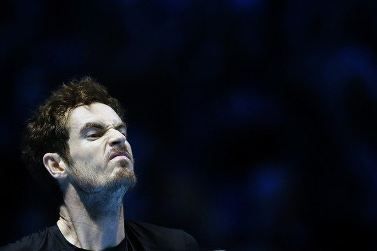 Andy Murray finaliniame turnyre patiesė Davidą Ferrerą