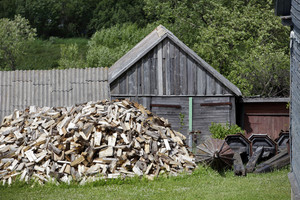 Malkų ėjusį kelmiškį nustebino Lietuvoje nematytas svečias