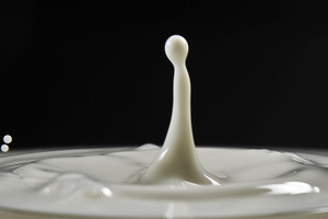 Per avariją Radviliškio r. išsiliejo 6 tonos pieno