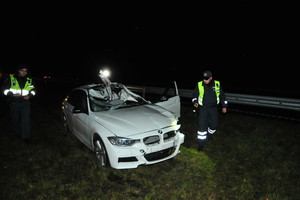 Netoli Vilniaus BMW numušė briedį, vairuotojo būklė sunki