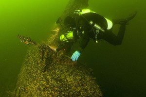 Atskleidė, kokios paslaptys tūno Baltijos jūroje