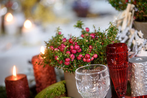 „Maxima“ šventinei namų puošybai pasiruošė – jus tai priblokš