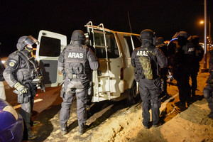 D.Grybauskaitė ragina atsakingai ištirti automato paėmimo atvejį