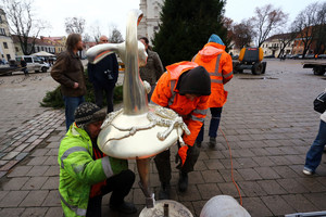 Kauno Kalėdų eglė: nenulauš nei vėjas, nei programišiai