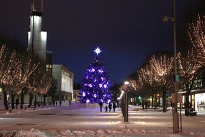 Kalėdų eglės šalies miestuose: visus perspjauti rengiasi Kaunas