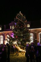 Raudondvaryje ryškiomis spalvomis sužibo gražuolė Kalėdų eglė