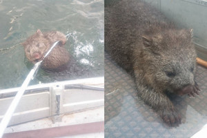 Geros širdies žvejų poelgis pradžiugino internautus