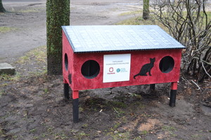 Gerumo pavyzdys: Vilniuje pastatė namelius beglobėms katėms