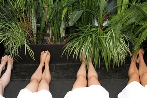 Viskas apie atostogų tvarką pagal naująjį Darbo kodeksą