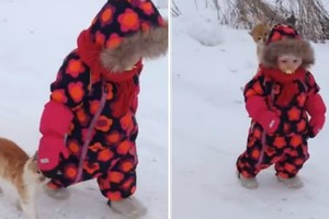 Stebinantis katino įkyrumas – sugalvojo būdą, kad jį pastebėtų