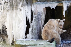 Ekonomikos augimas ir kova su atšilimu: ar įmanoma suderinti?