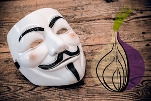 Išgąsdinta teroro atakų Prancūzija ribos interneto laisvę