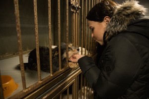 Justė Arlauskaitė-Jazzu aplankė gyvūnų prieglaudą