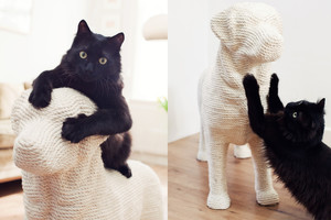 Pagamino svajonių draskyklę: tokios norėtų kiekviena katė