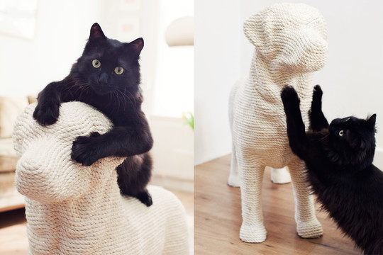 Pagamino svajonių draskyklę: tokios norėtų kiekviena katė