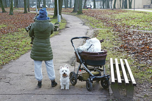 Auklės paieškos Kaune: ko mamos niekada neklausia?