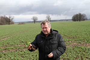 Po patirto infarkto Kazys Starkevičius ramybę atranda gimtinėje
