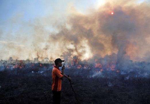 Indonezijos laukuose siautėjo liepsnos.<br>AP nuotr.