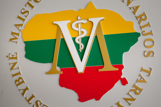 Apšepusioms įmonėms tenka stabdyti veiklą ir apsikuopti