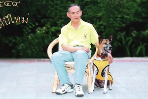 Už pokštus Tailande gresia kalėjimas