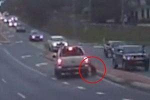 Kraują stingdanti akimirka: šuo tik per stebuklą liko gyvas