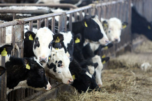 „Sodros“ klaida ūkininkui – lyg šaltas dušas