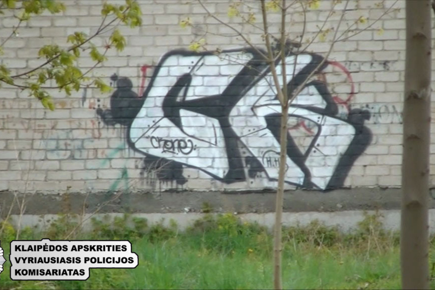 Ikiteisminio tyrimo metu nustatyta, kad šie vaikinai nusikaltimus vykdė apie dvejus metus (2014 – 2015 metais) įvairiu paros metu.