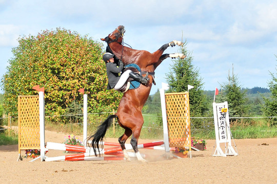 Koks yra lietuvio charakteris ir ko jis siekia?
