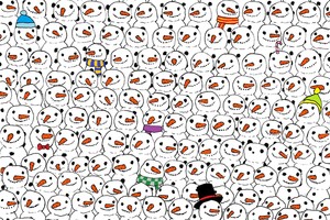 Interneto sensacija: atrask pandą