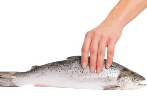 Pajūryje dirbantis šefas atskleidė, kaip atskirti šviežią žuvį