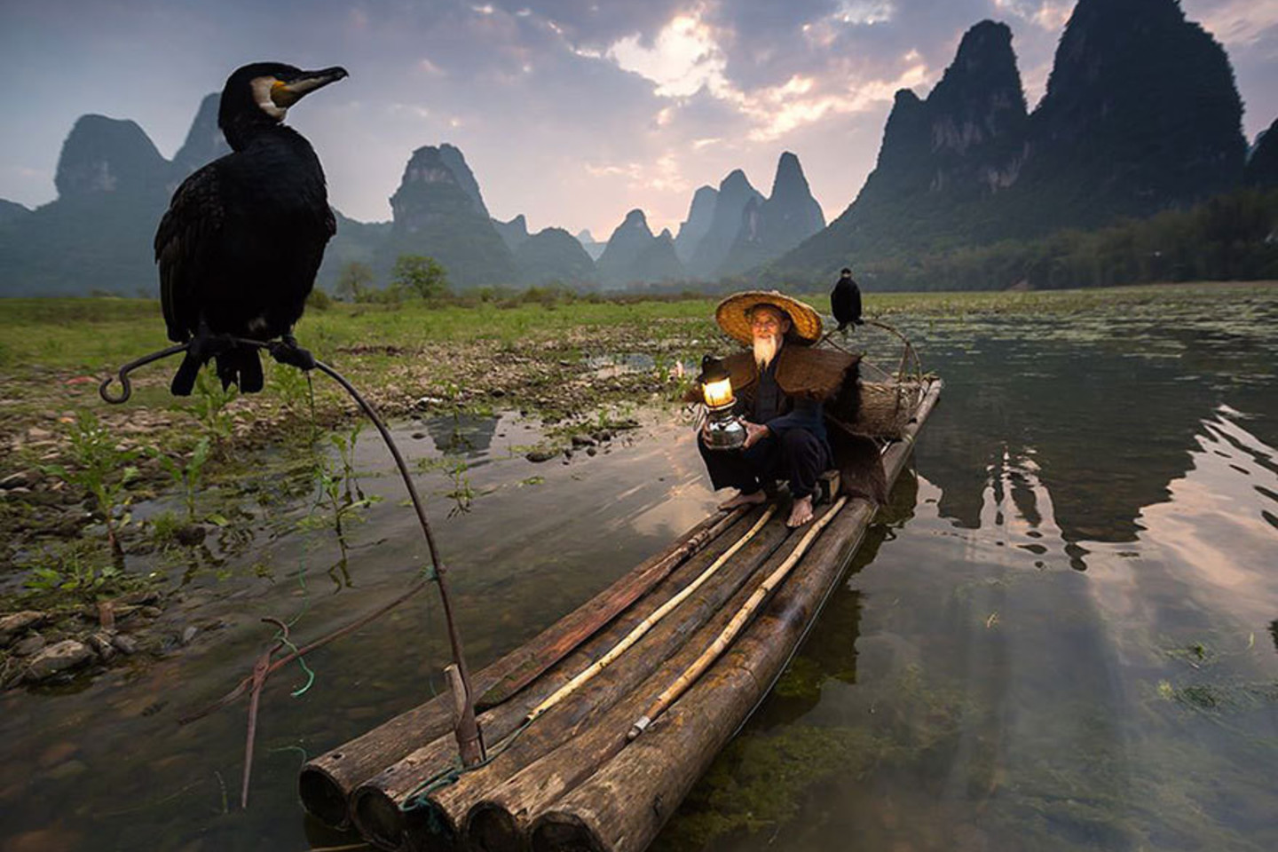 „Paukščių lesintojai“, Kinija.<br>Abderazak Tissoukai nuotr.