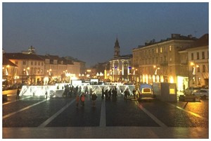 Moteris leidosi į Vilniaus gatves ir įrodė – jis visai ne pilkas