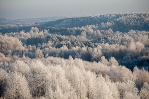 Paspaus šaltis: atšals iki 14-os laipsnių