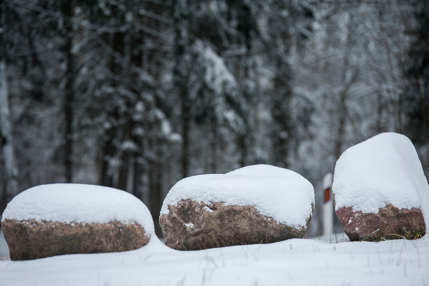 Iškritęs sniegas laikysis mažiausiai savaitę.<br>V. Ščiavinsko nuotr.