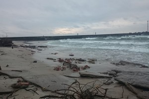 Klaipėdos paplūdimyje žiemą – vaizdai, gąsdinantys poilsiautojus